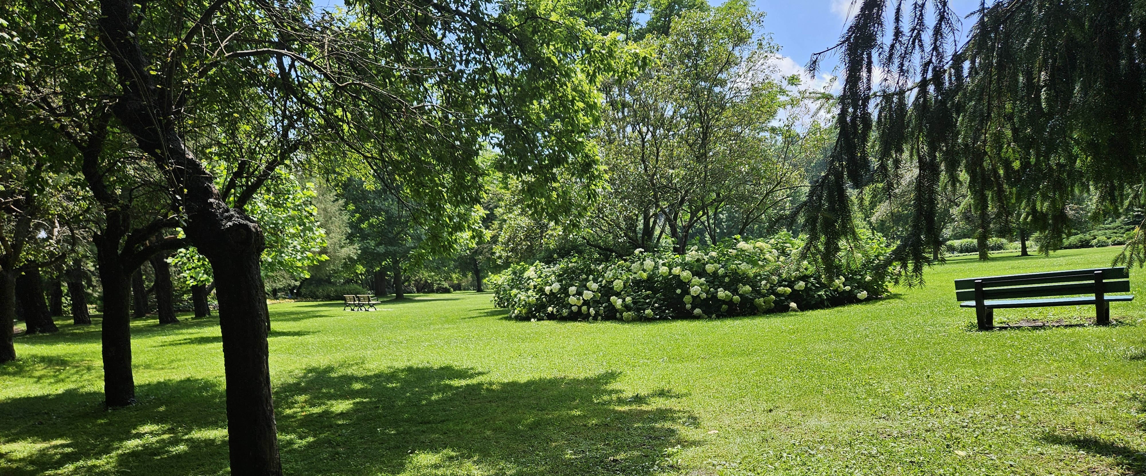 👣STEP BY STEPT👣 banner