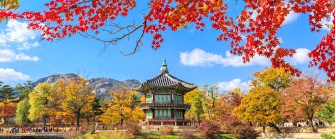 🌺BEAUTIFUL  HIBISCUS🌺 banner