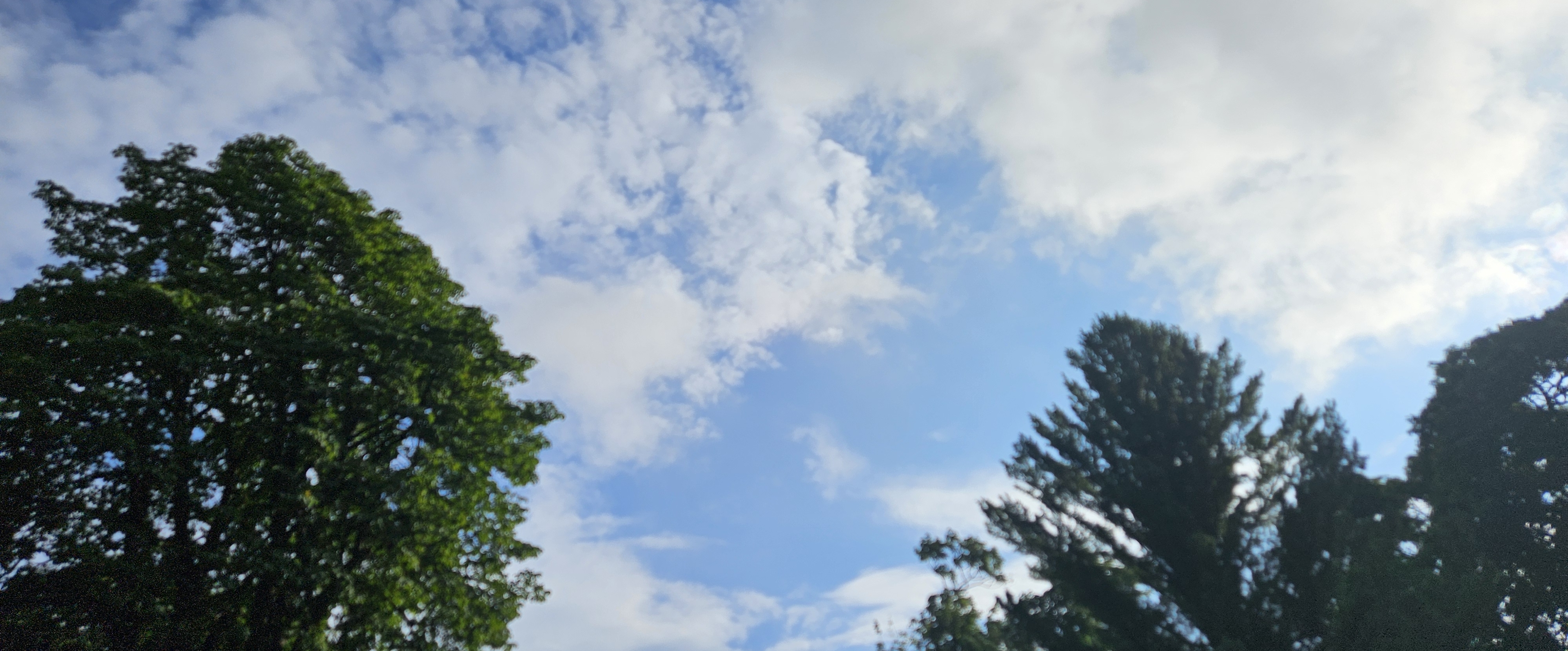 💜KEEP  WALKING💜 banner