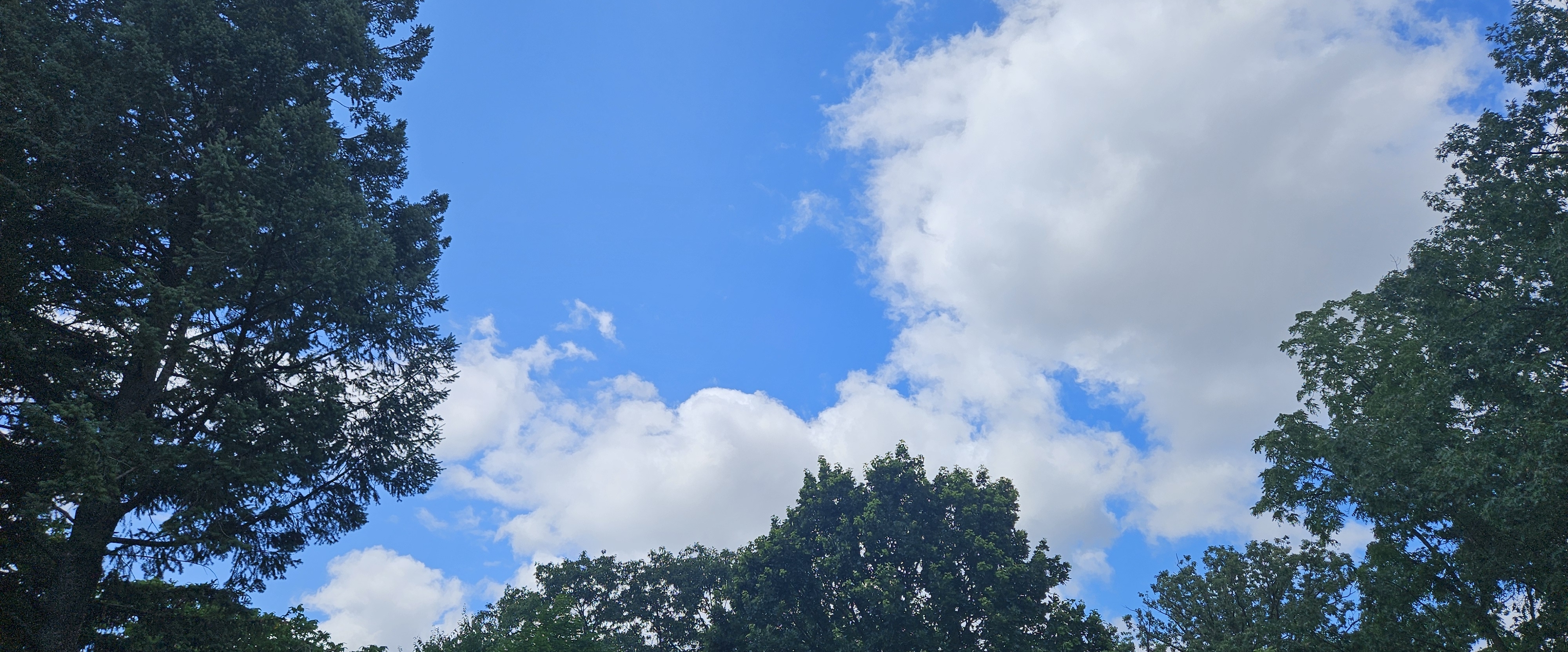 🌄SLOWLY BUT SURELY🌄 banner