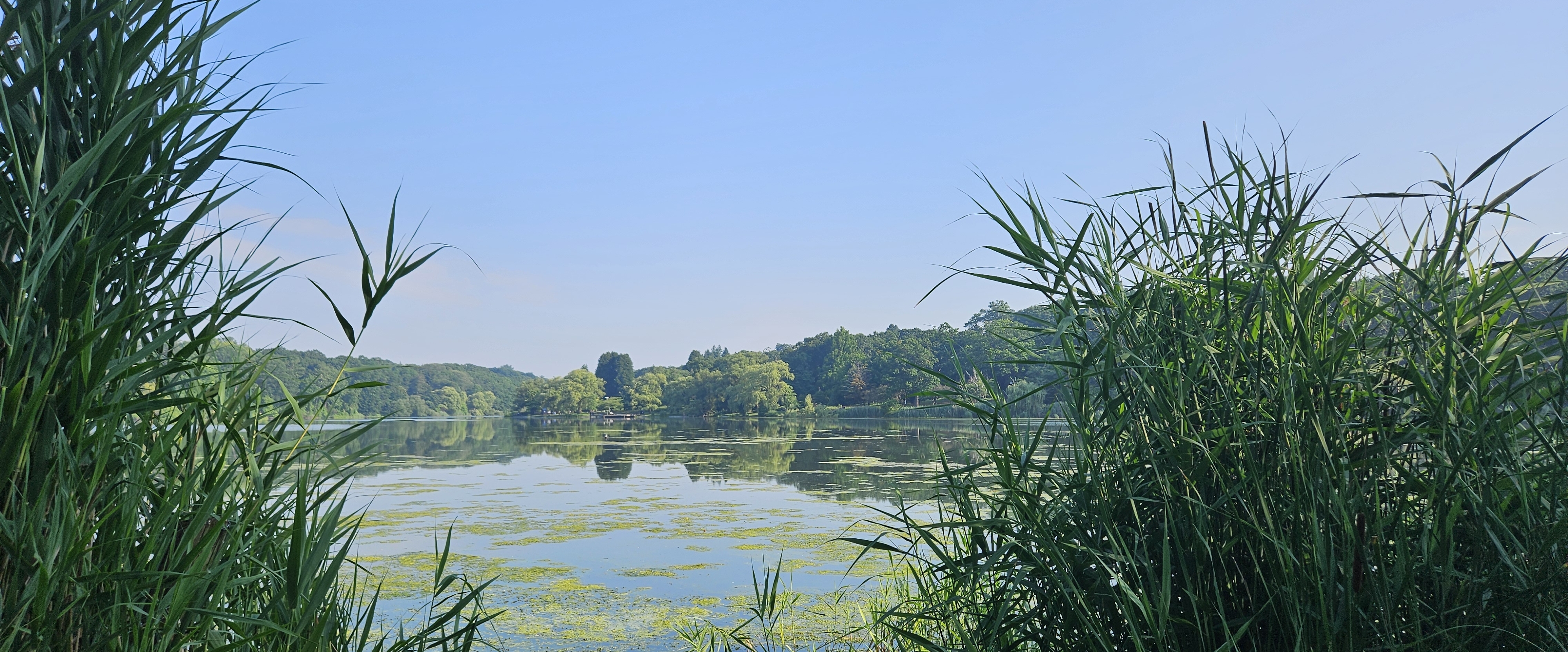 💯EVERYDAY WALKS💯 banner