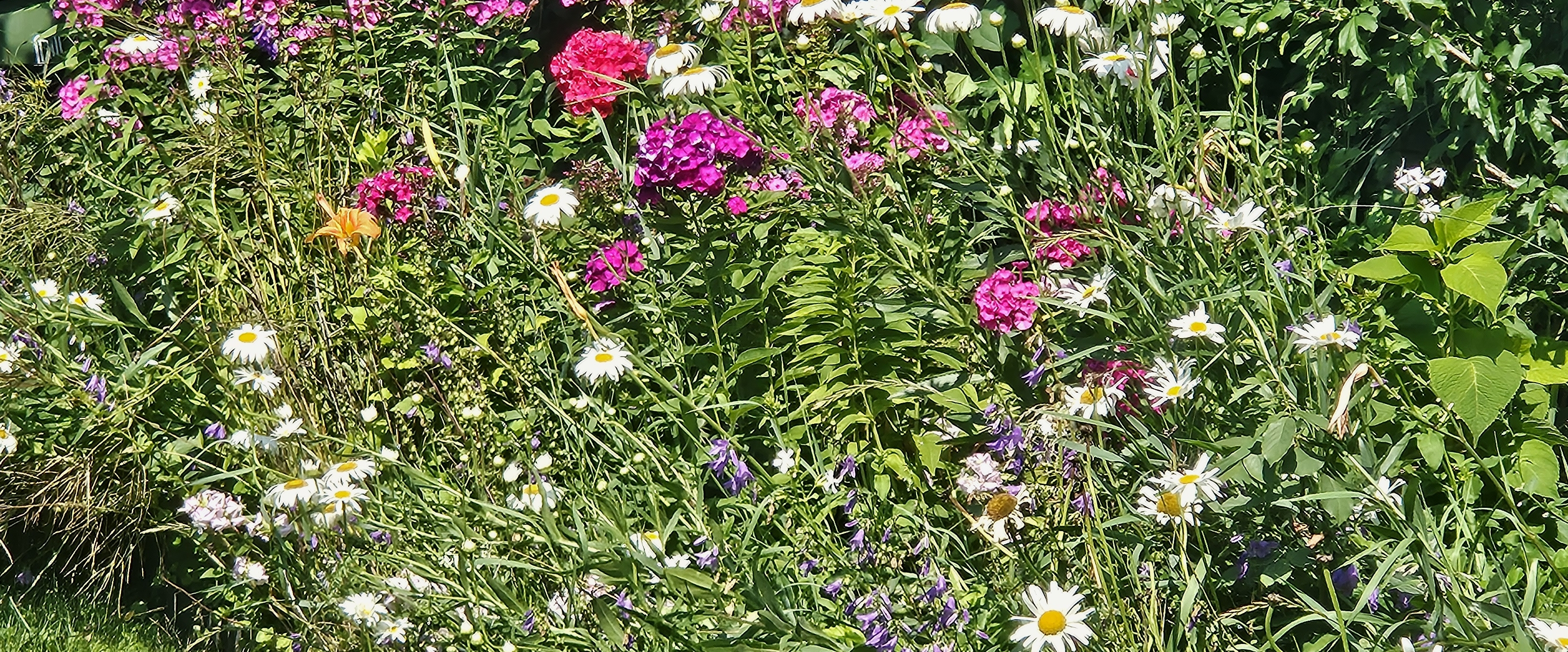 💕WALK TO  BE FIT 💕 banner