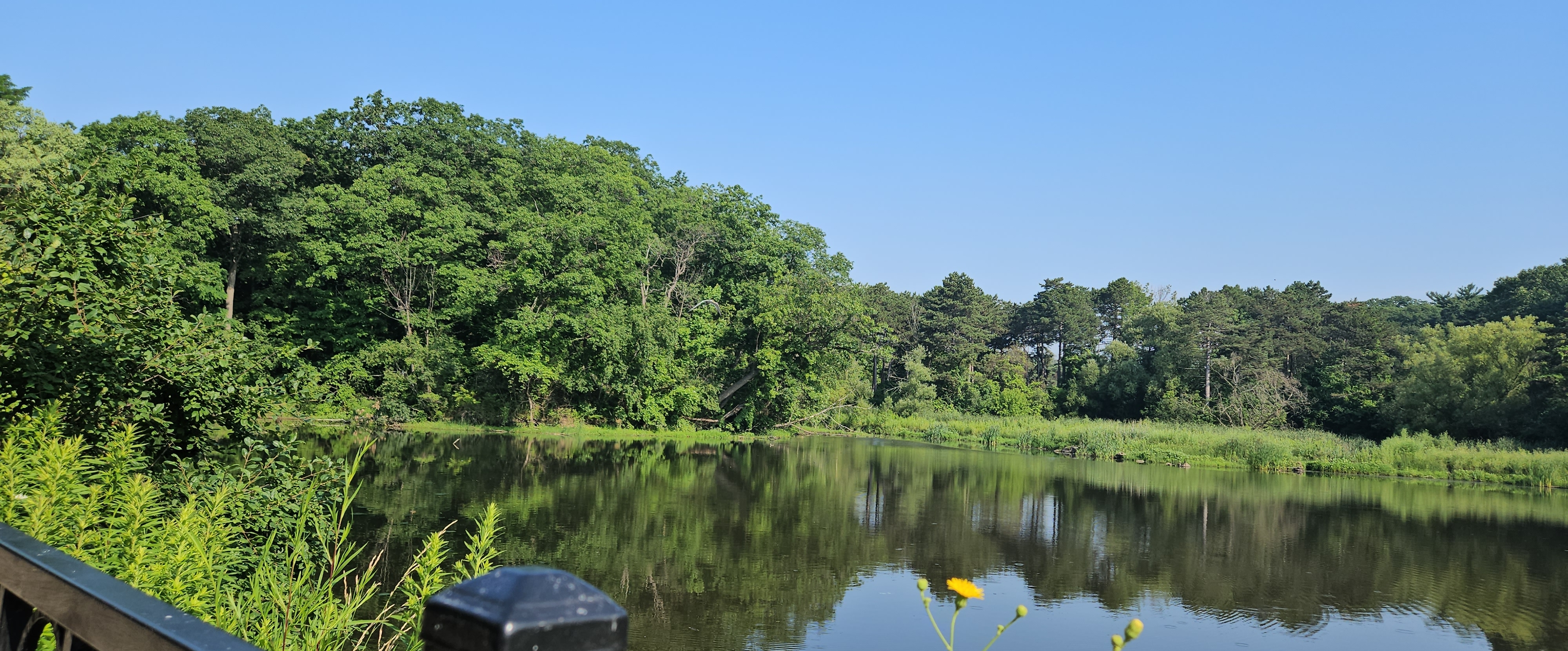 🌸AWESOME  TOGETHER 🌸 banner