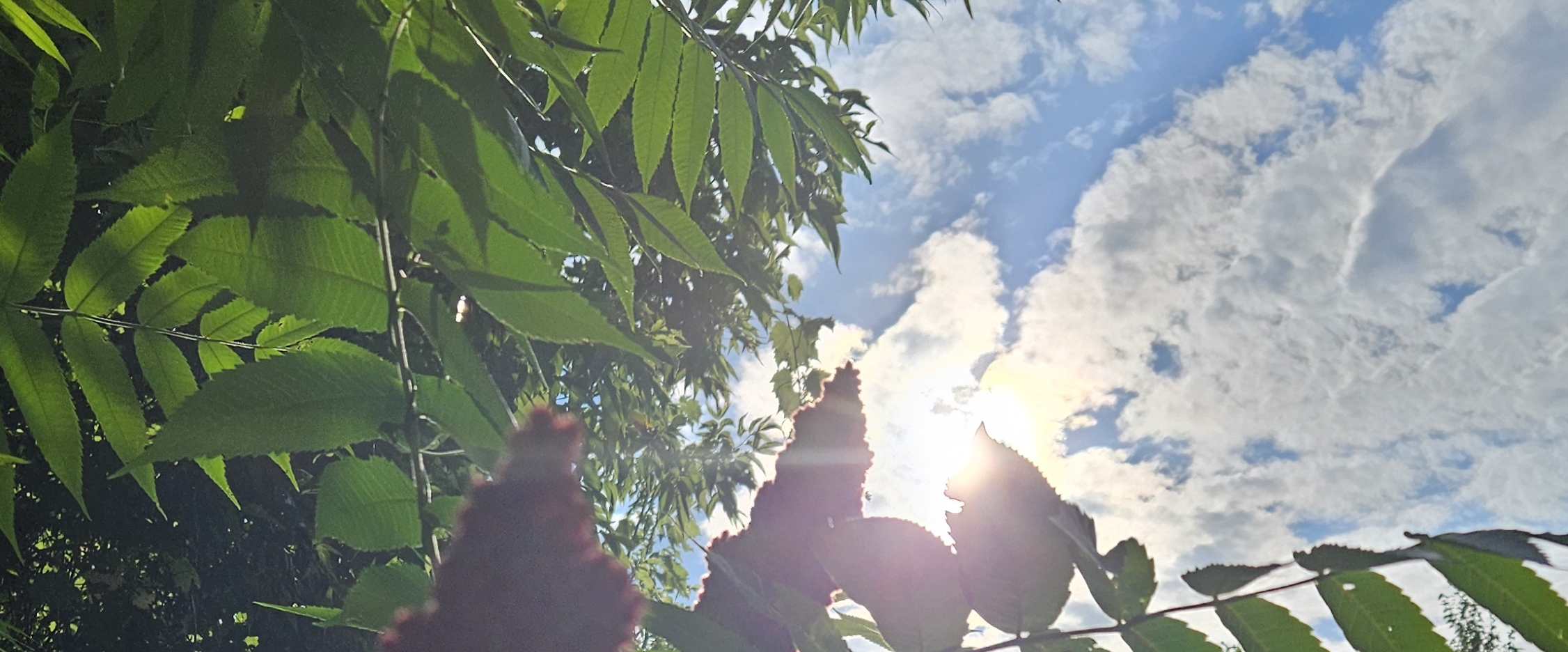 💫KEEP WALKING💫 banner