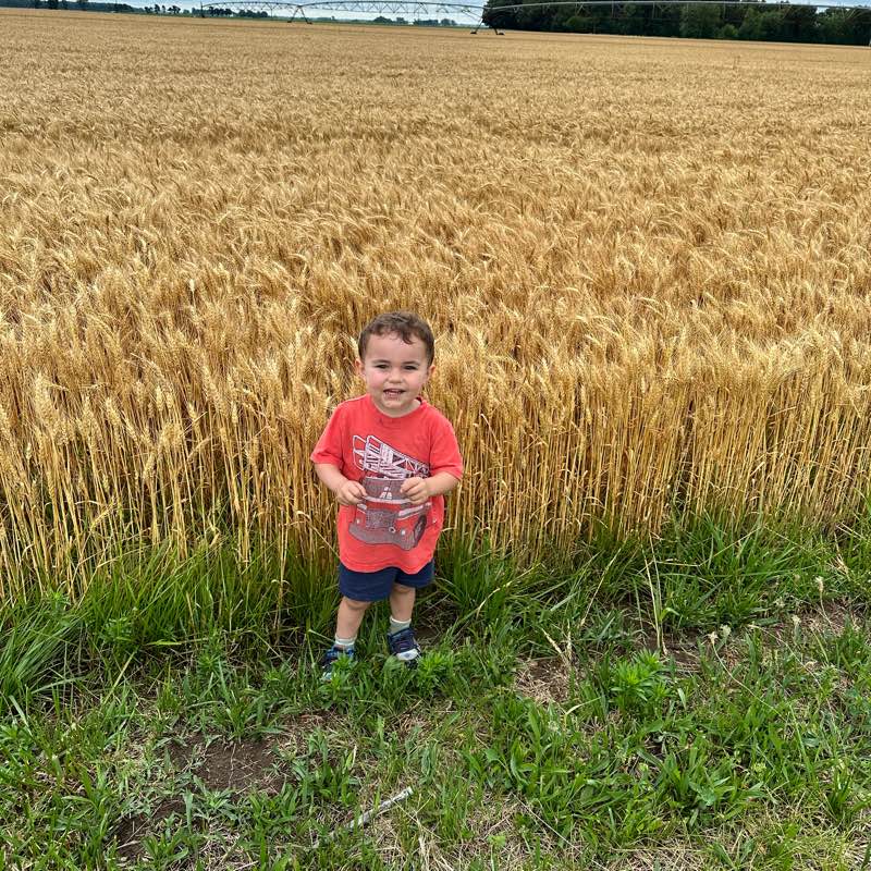 Fitness is Life! logo