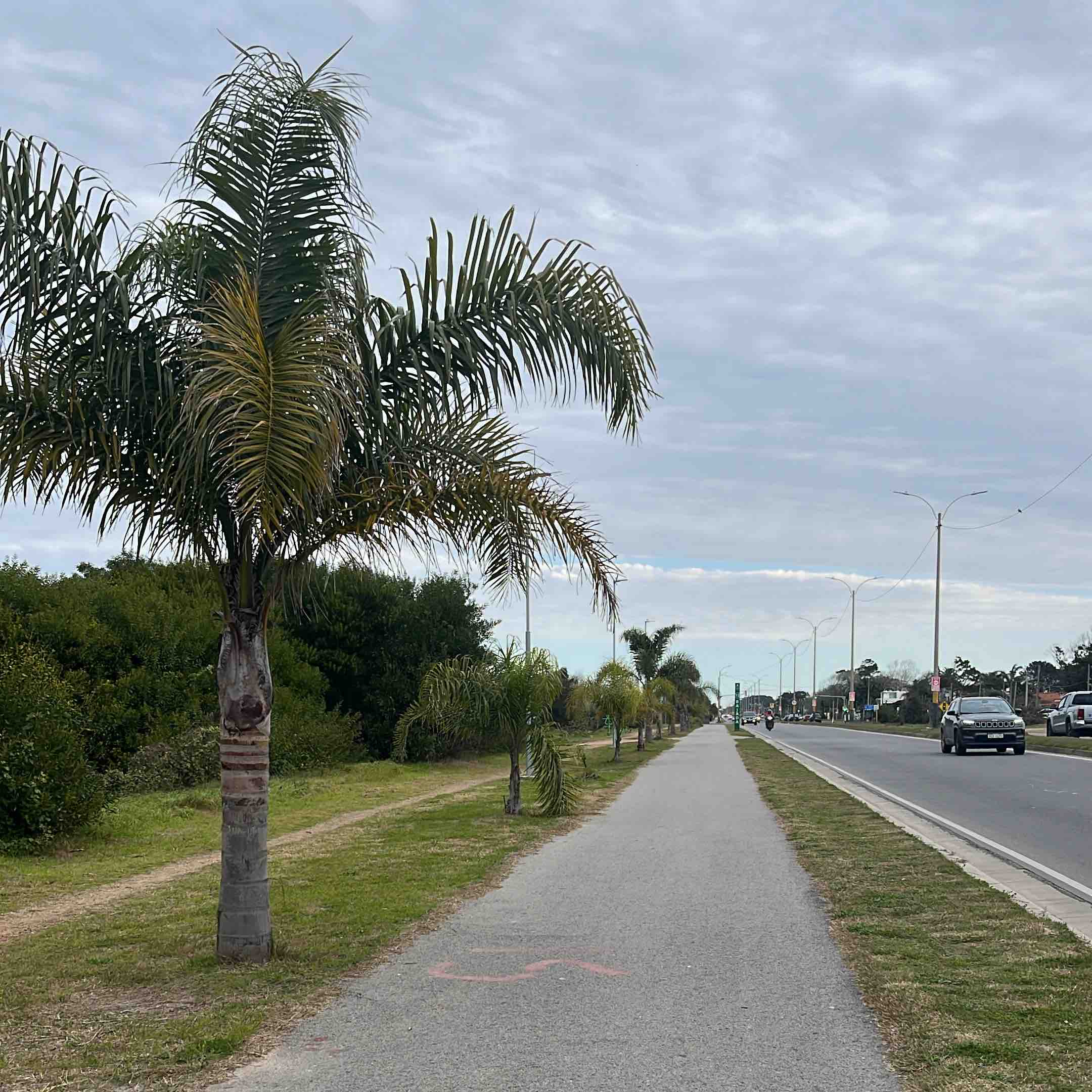 caminata diaria logo