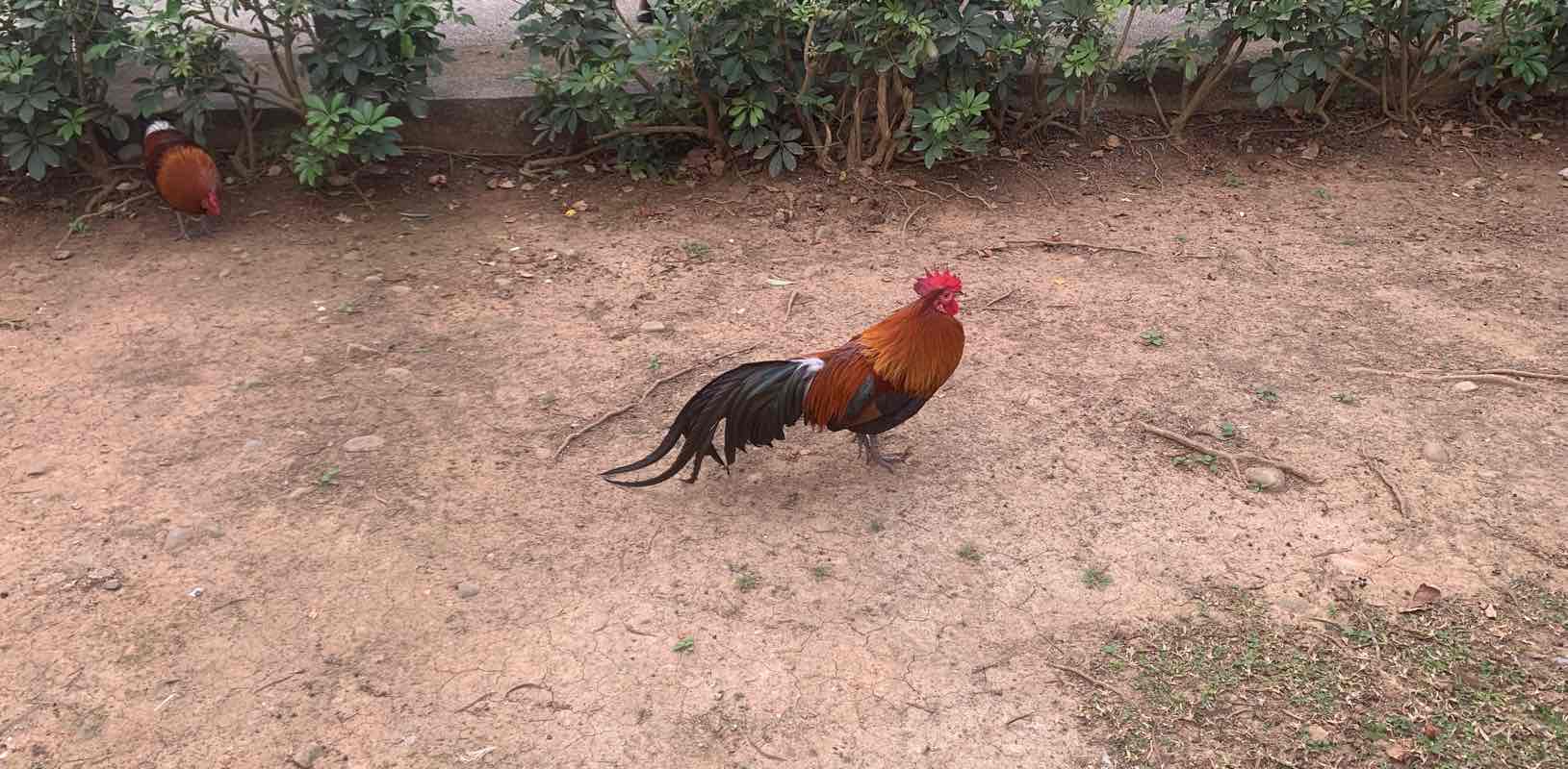 為了身體健康 banner