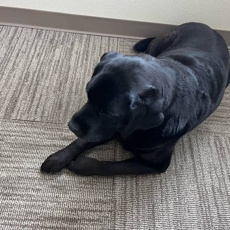 Clinic Step Winners logo