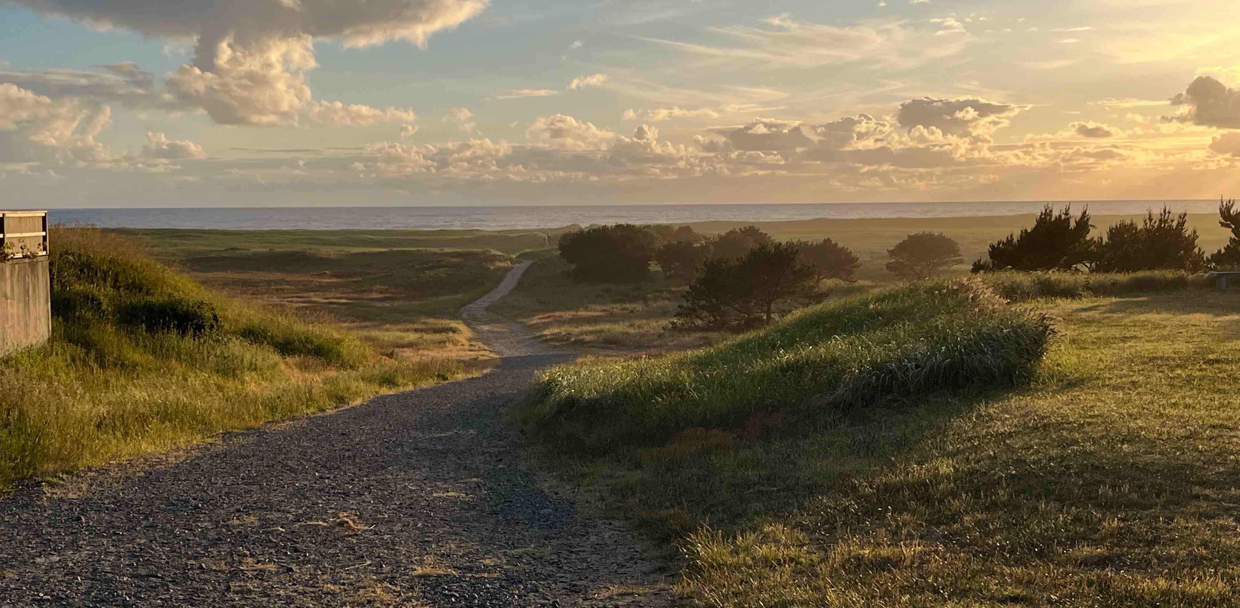 Clinic Step Winners banner