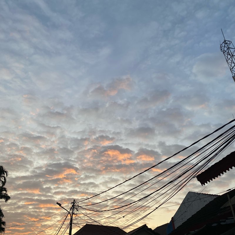 FWDLiveLife for Charity 2024 logo