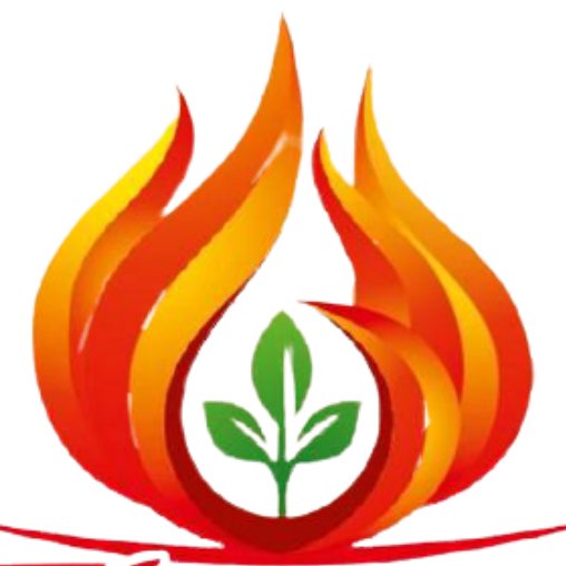 🔥THE BEST 5🔥 logo