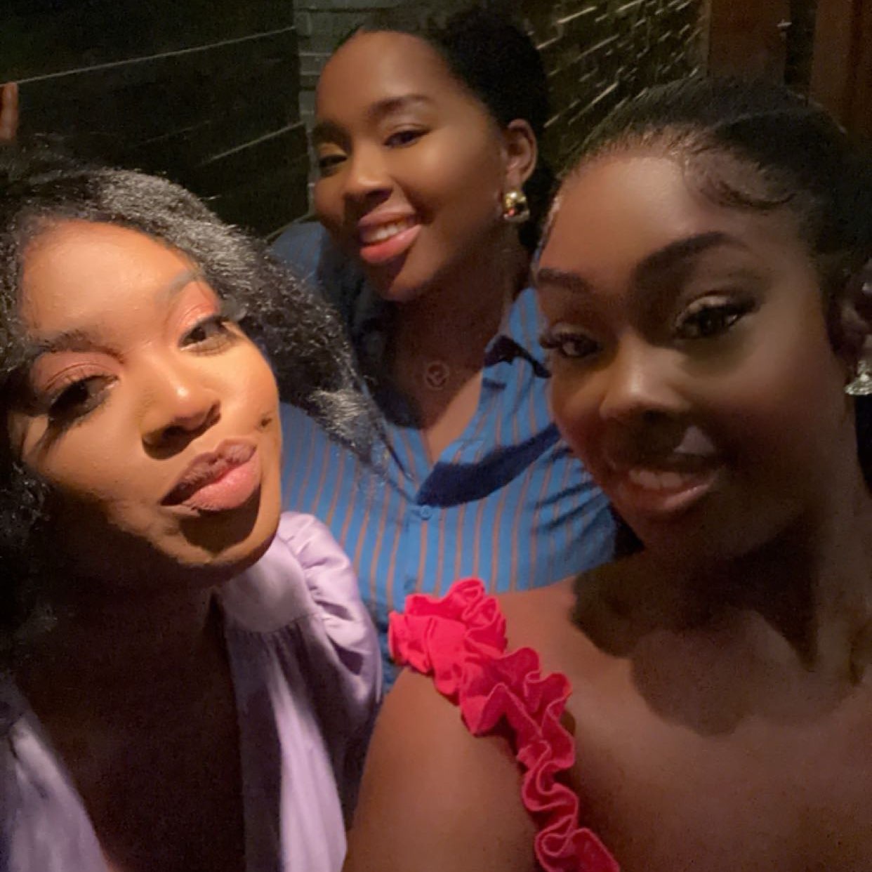 Babes are stepping logo