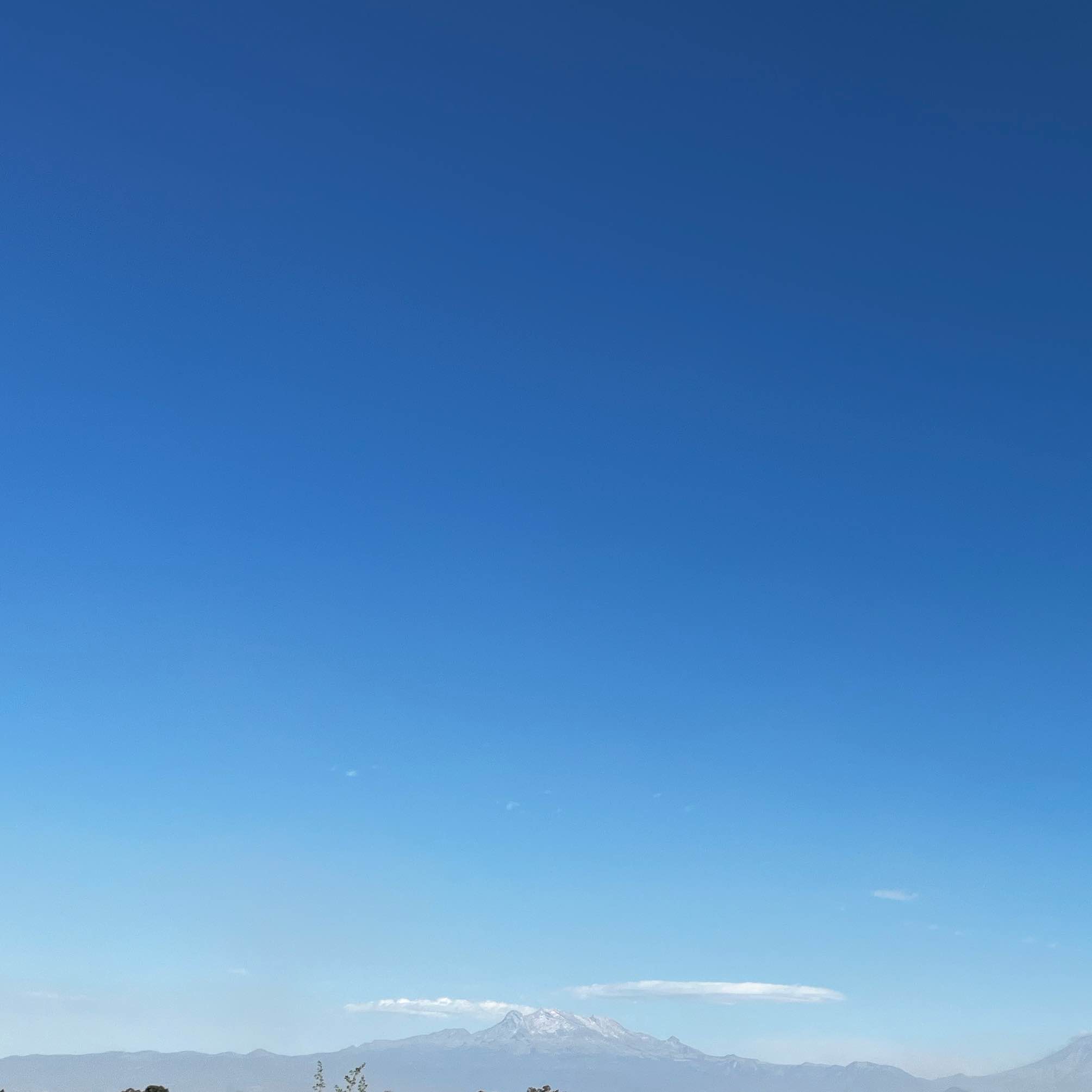 SMARTRUNNERS MX logo