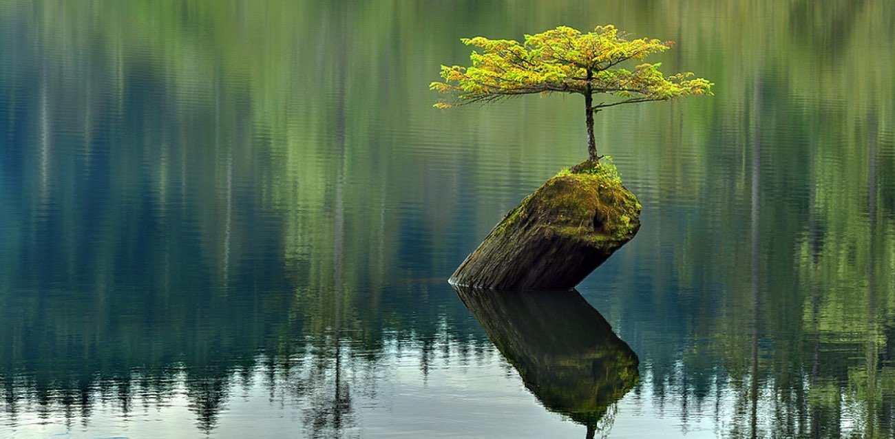 Сила и Дух banner