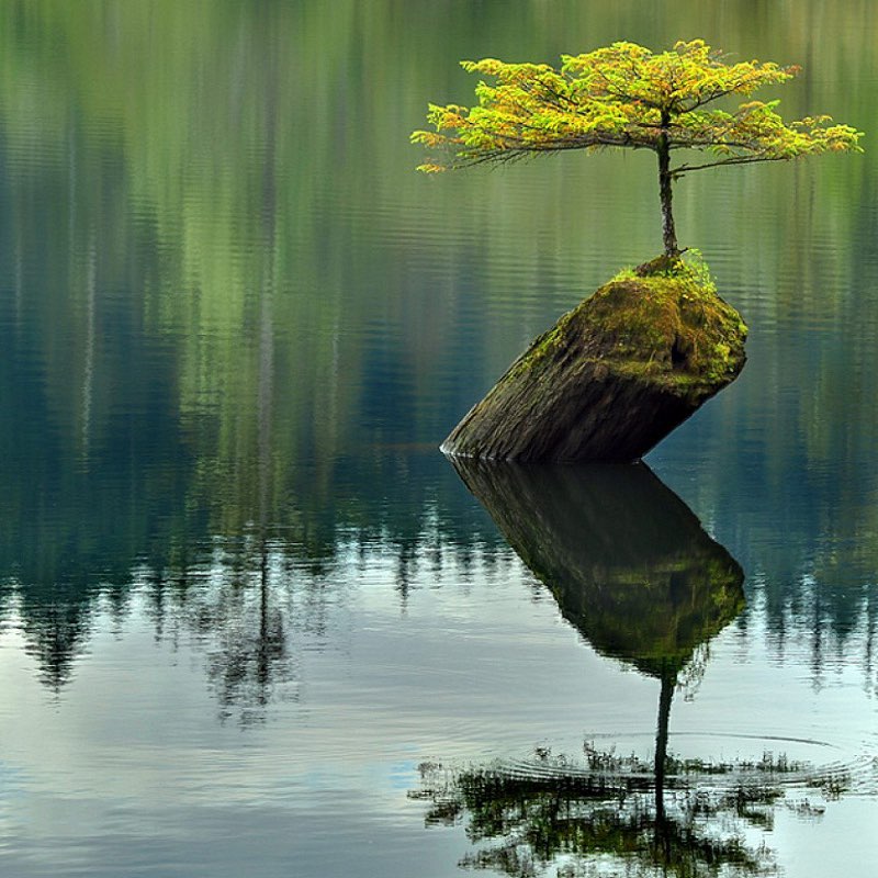 Сила и Дух logo