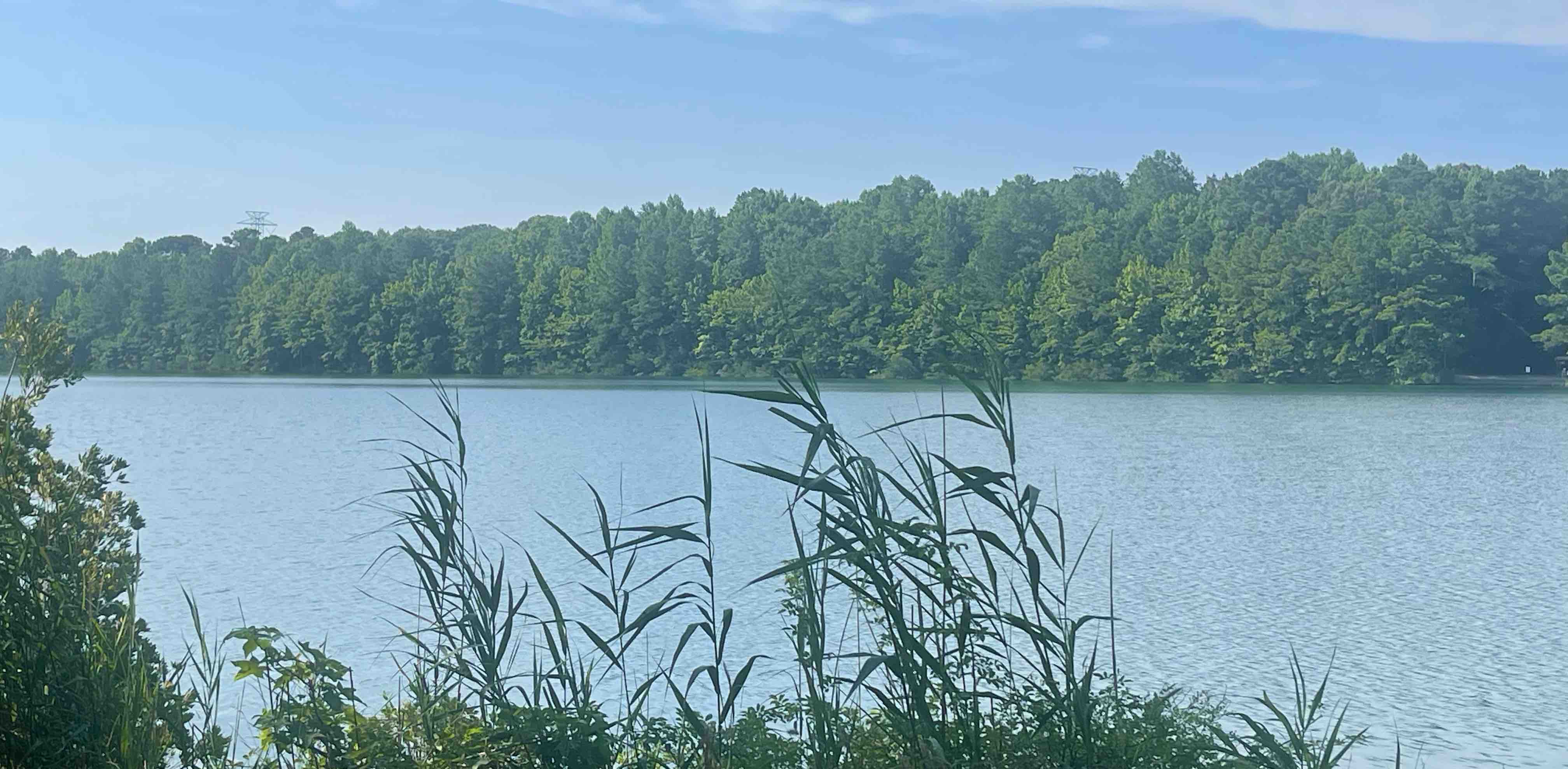 Girl, get to stepping! banner