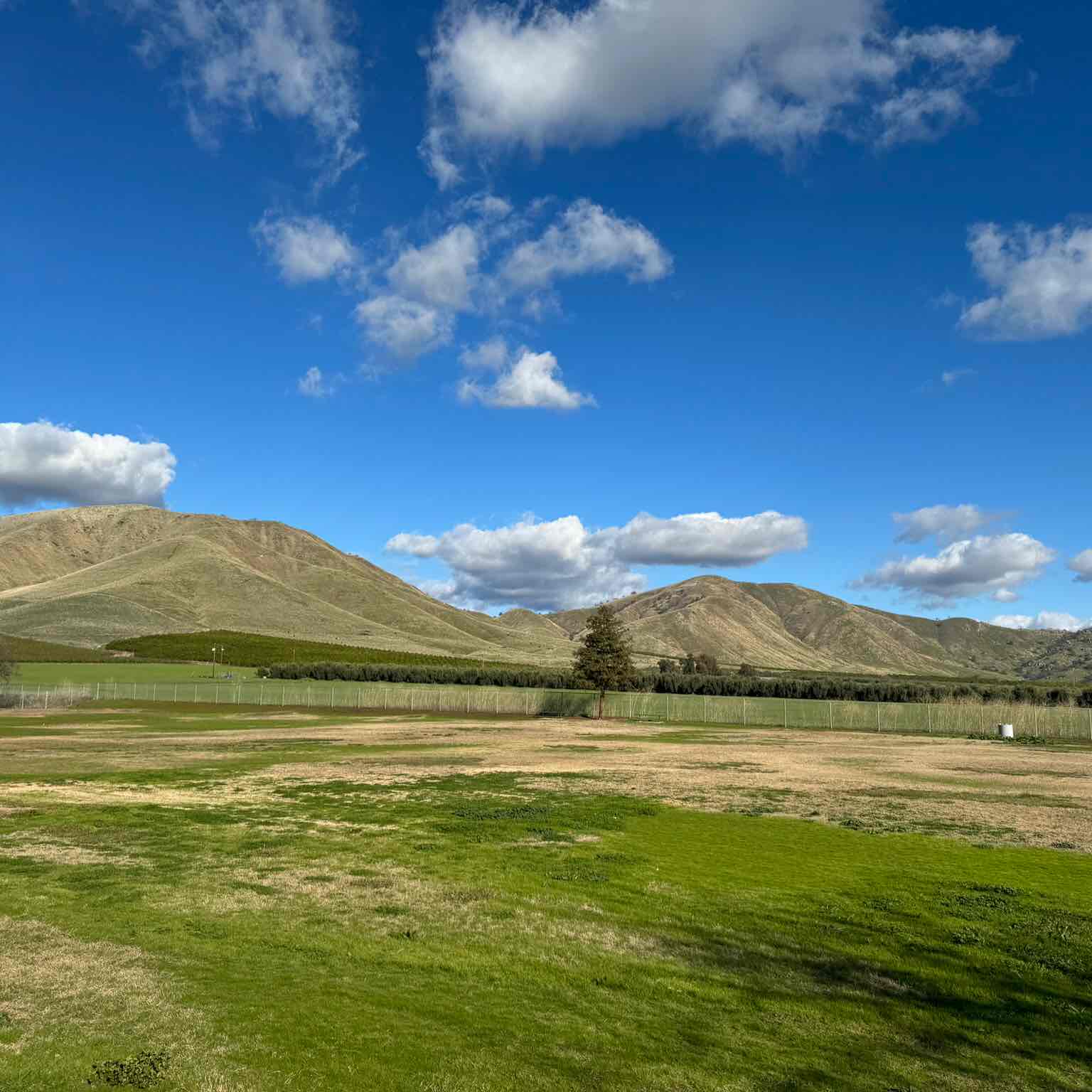 Woodlake USD Step-tember 2024 logo