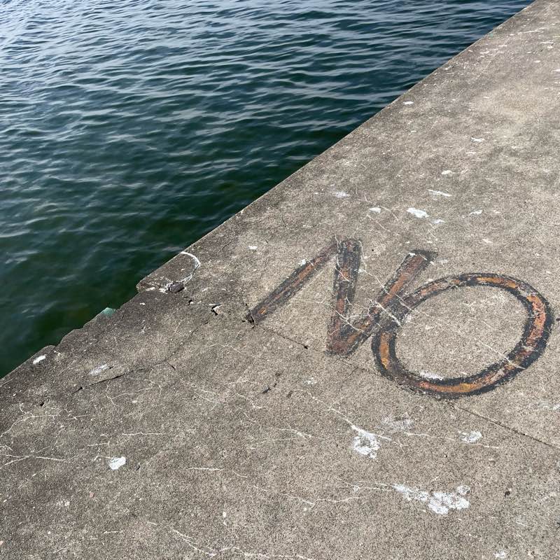 WNC & Upstate SC Walkers logo