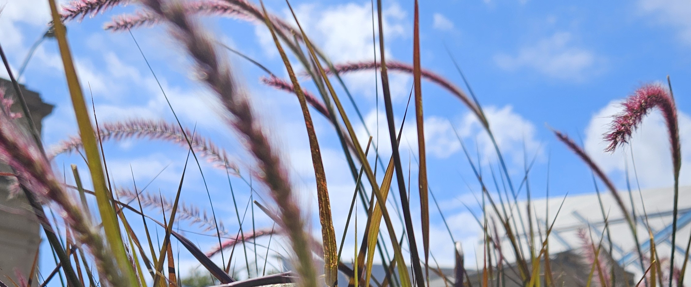 🍂 AUTUMN  VIEWS🍂 banner