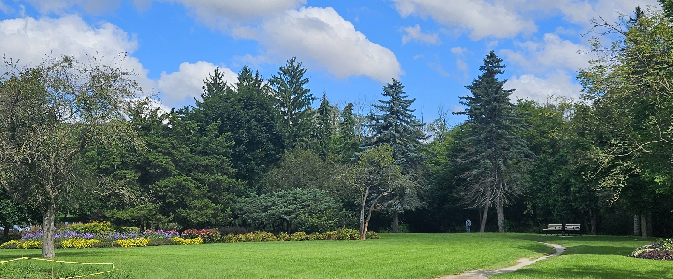 🎉LAST DAYS OF SUMMER🎉 banner