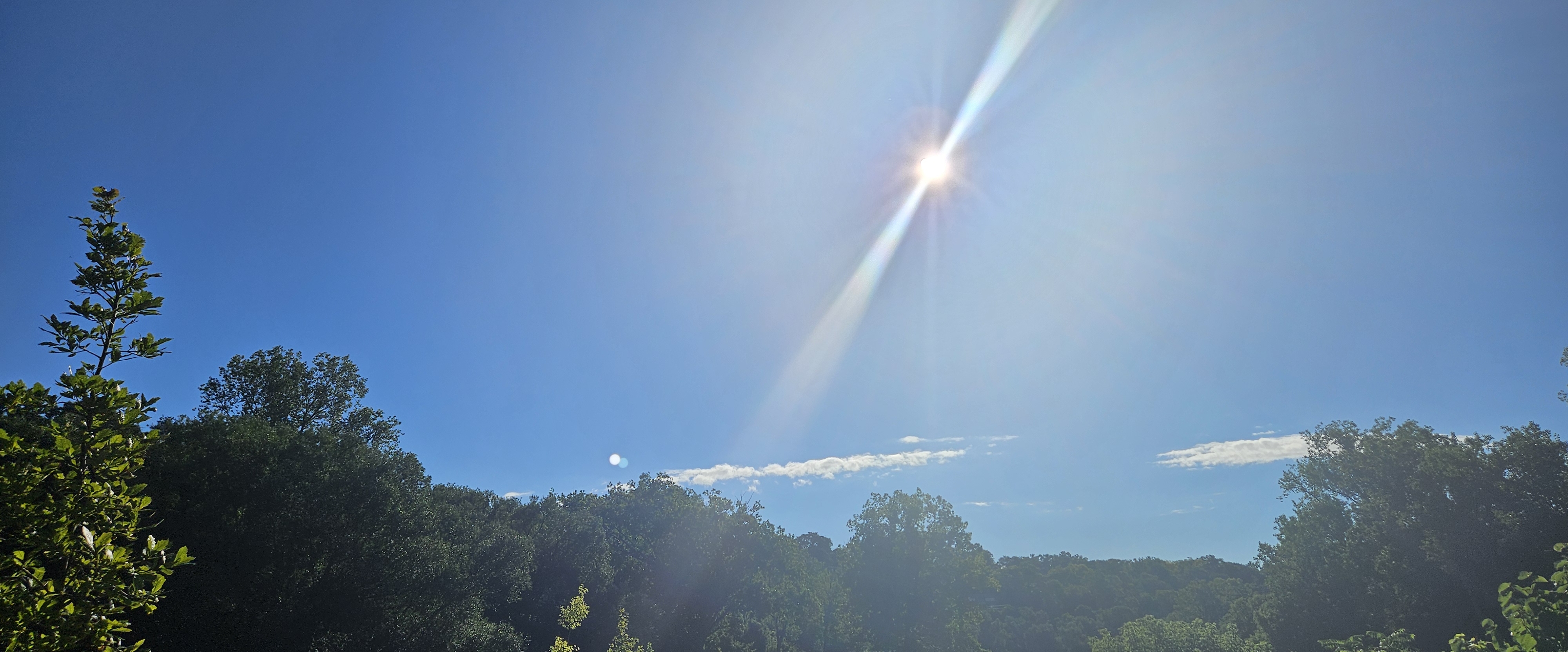 🏞✨️NATURE WALKS✨️🏞 banner