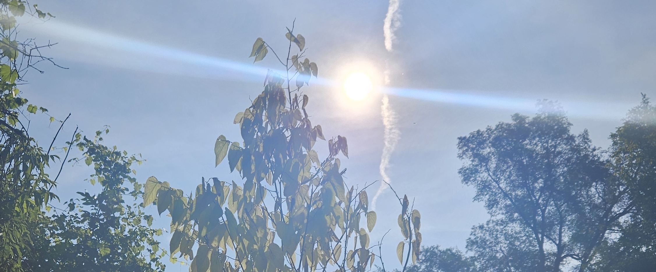 🌸😎AWESOME TEAM😎🌸 banner