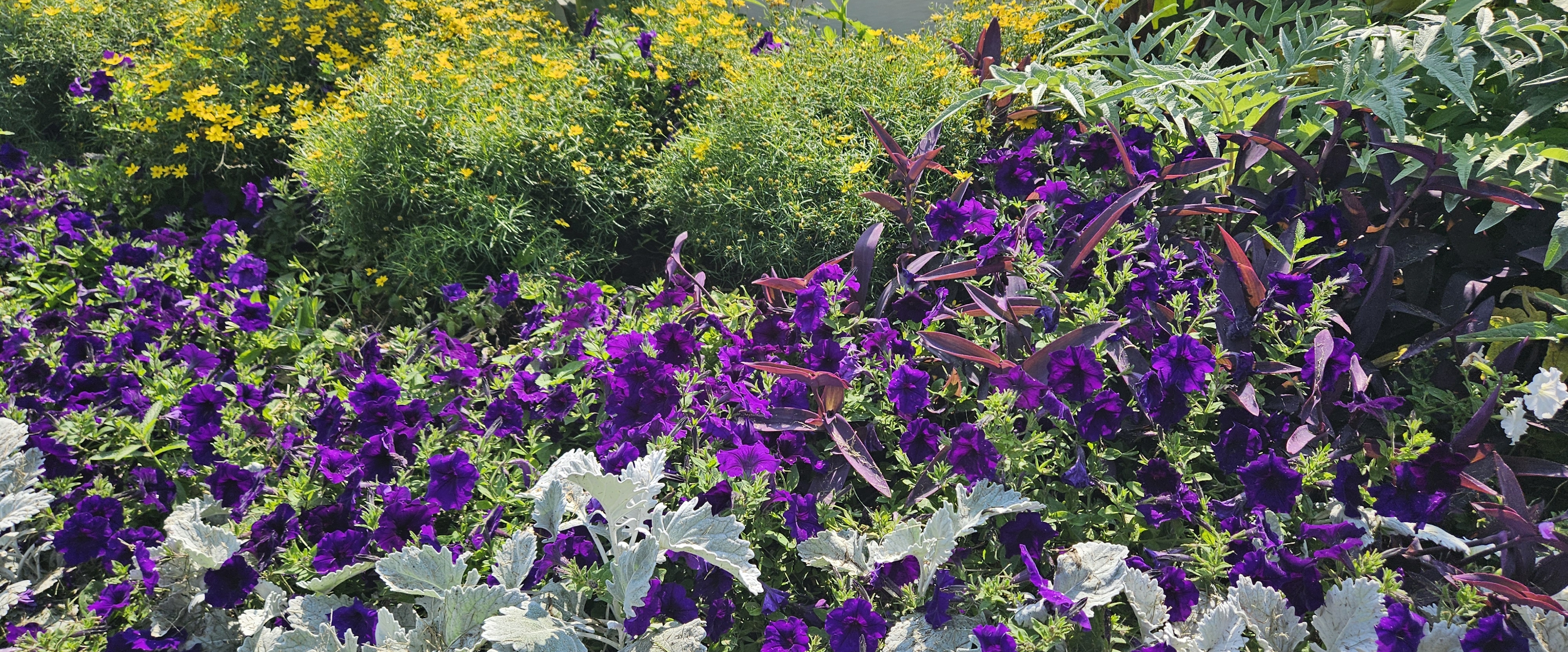 ♥️KAZAN PACERS♥️ banner