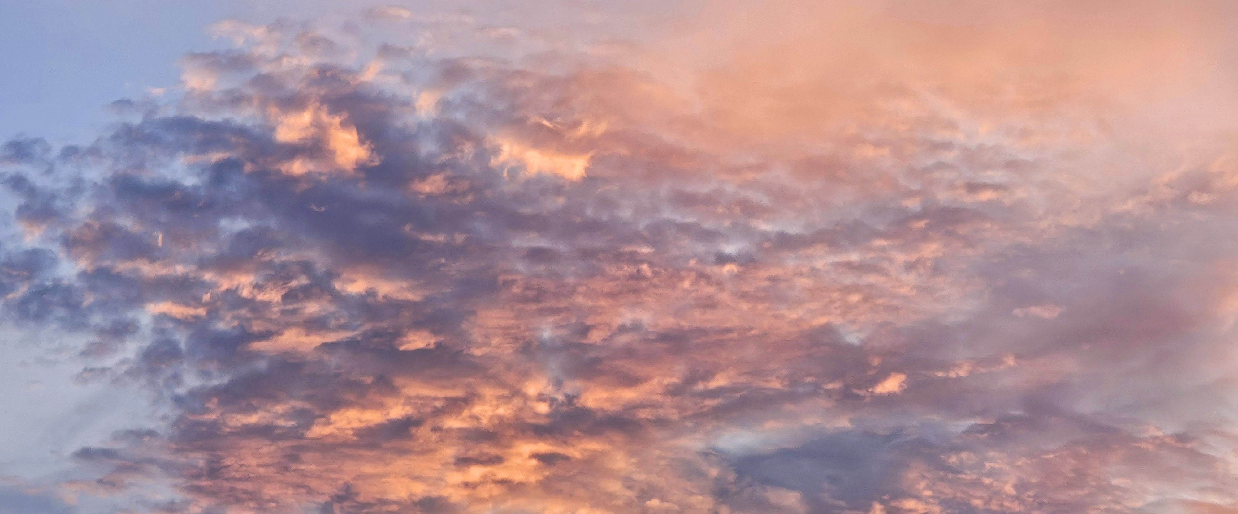 🐌SLOW STROLL🐌 banner