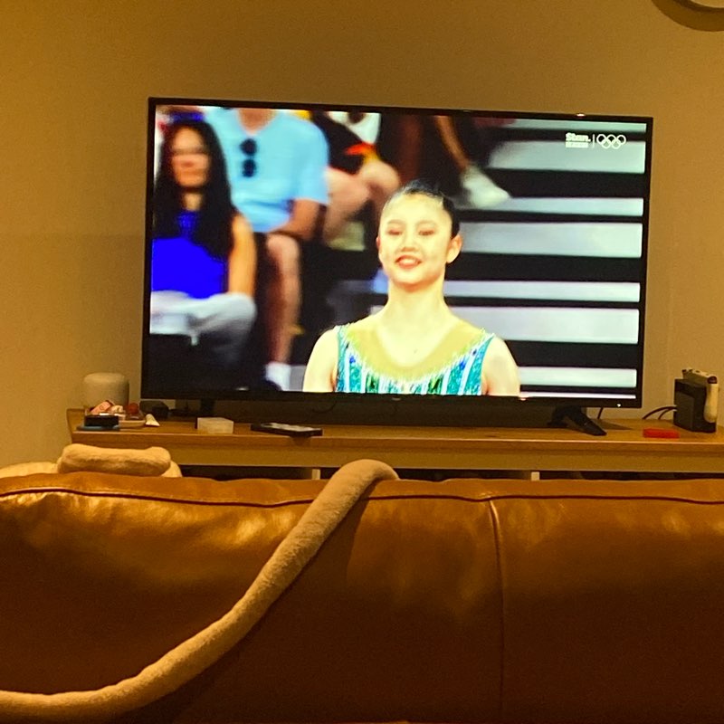 xiaochen gogogo logo