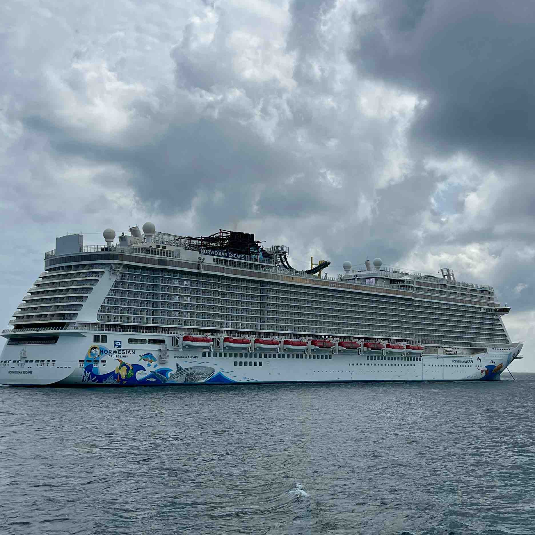 Cruising for the Win logo