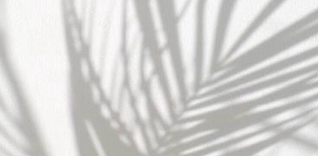 Dream team by Vevas banner