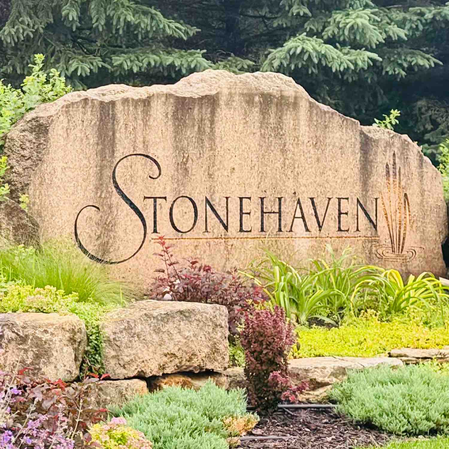 Stonehaven Buddies logo