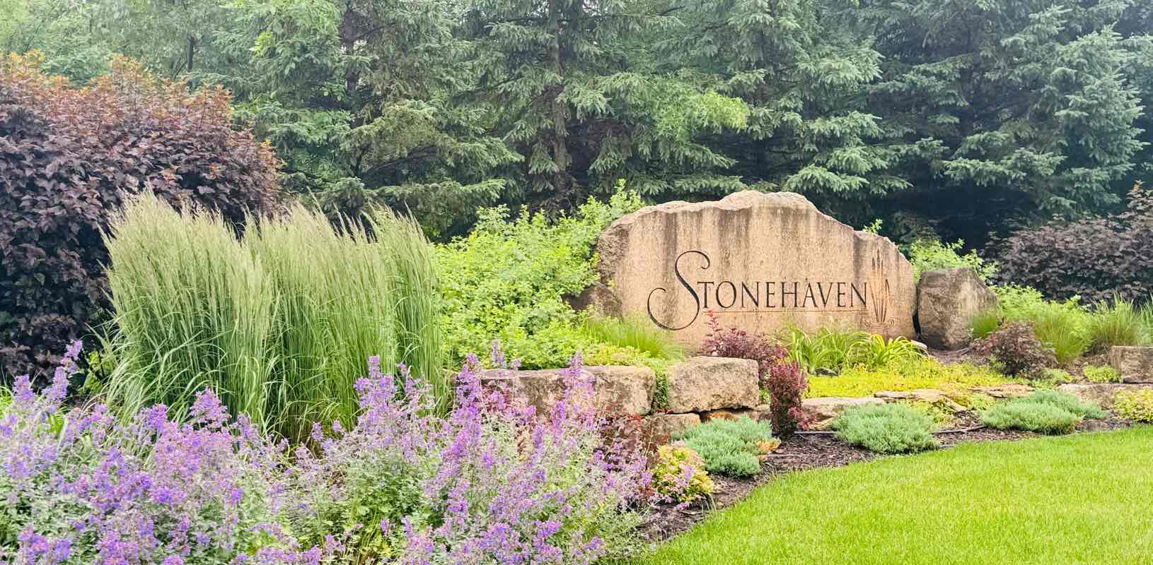 Stonehaven Buddies banner