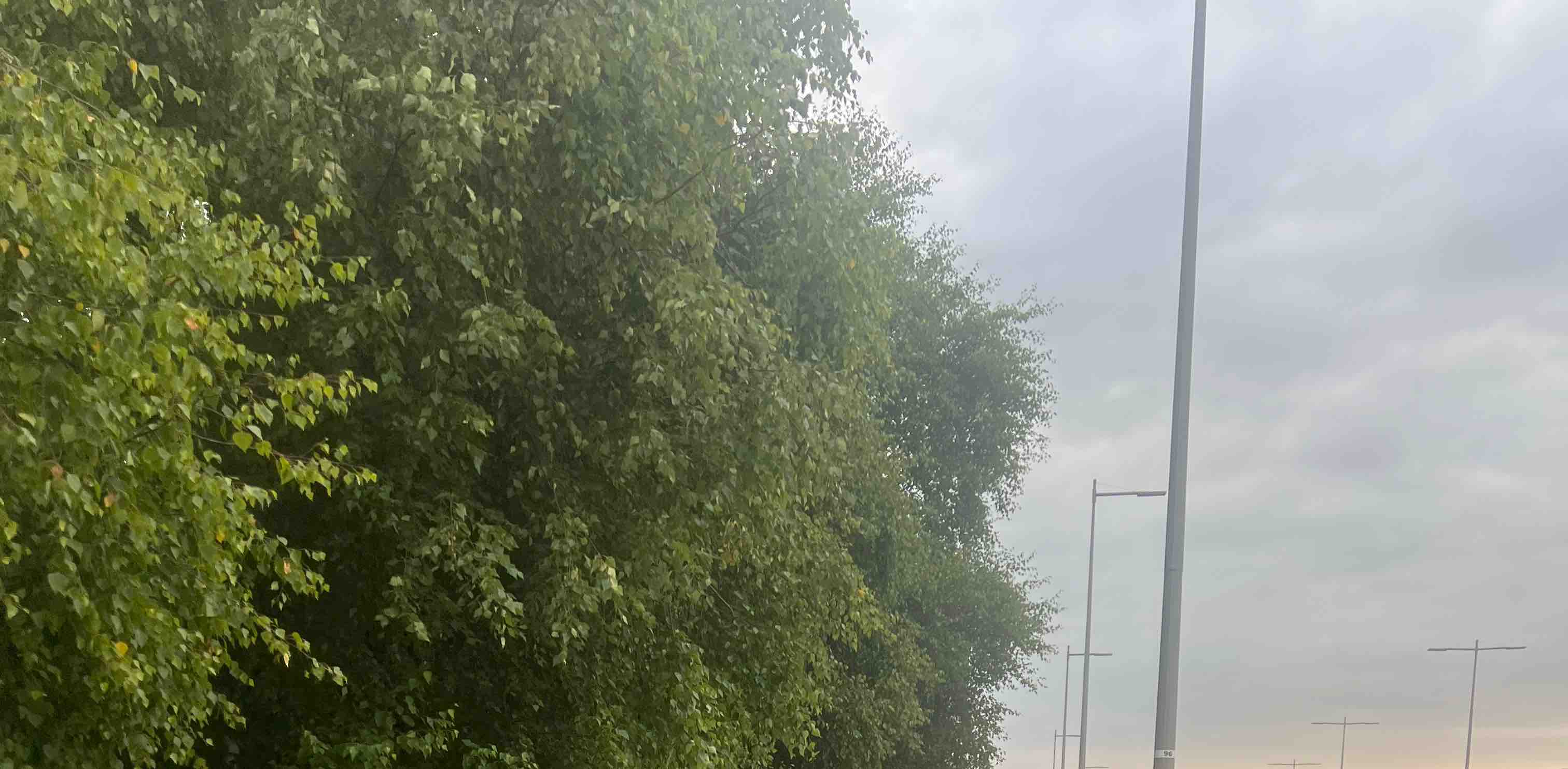 Tone up with steps banner