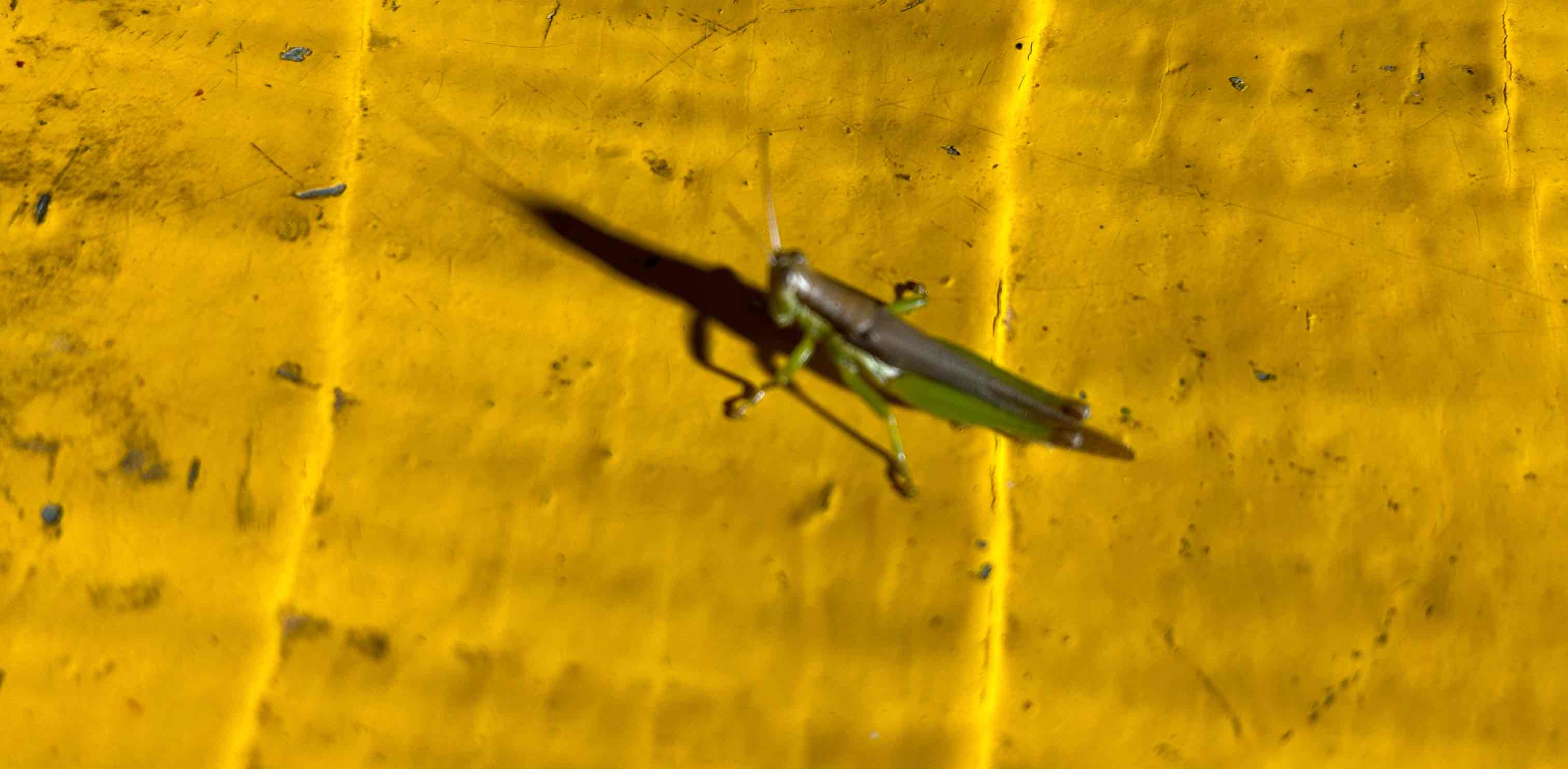 Labour Kootam banner