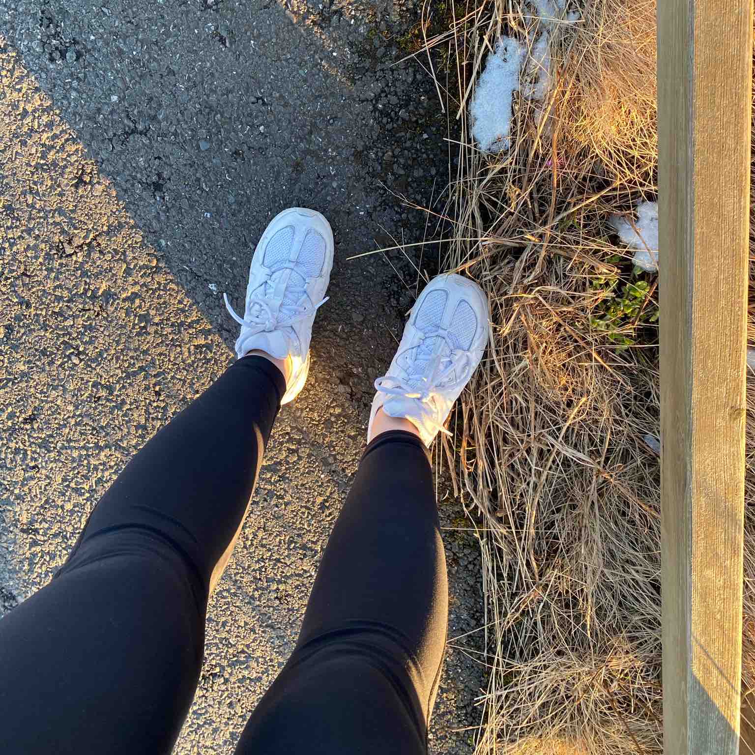 Gellur á göngu 💅 logo