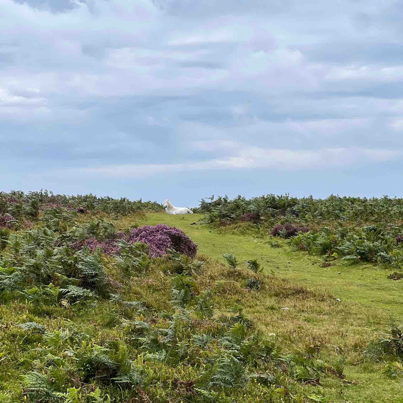 Let me see ya WALK logo