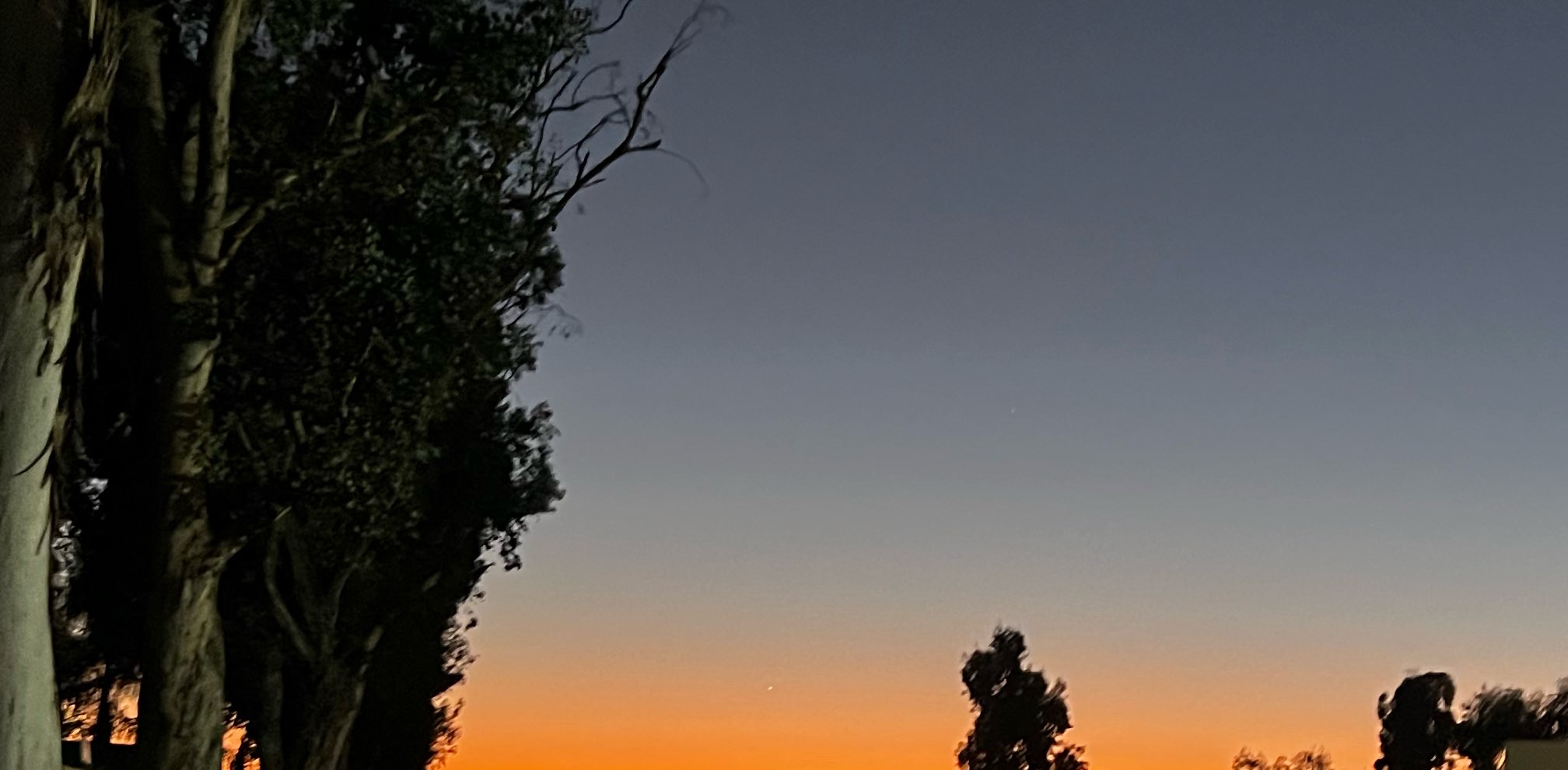 Mind Clearing Walks banner