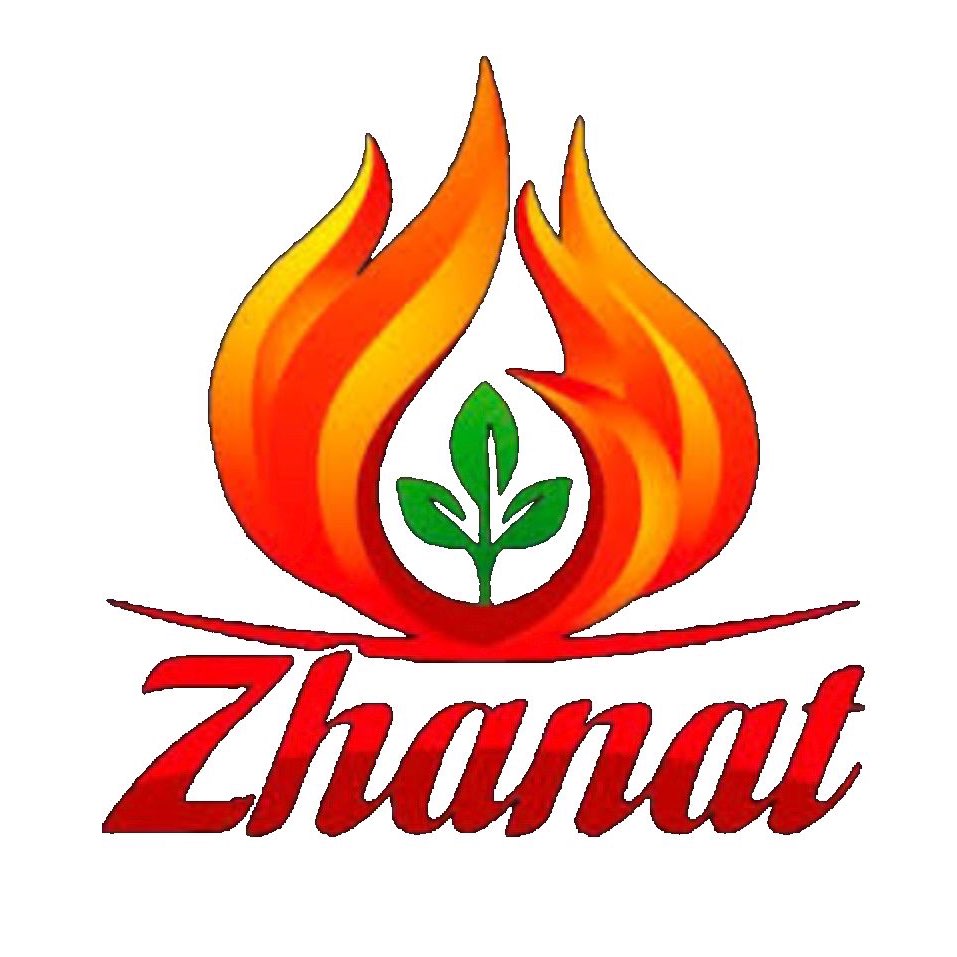 Практика Коучинга Сюцай logo