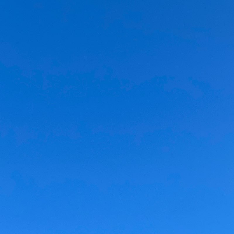 walking for life logo