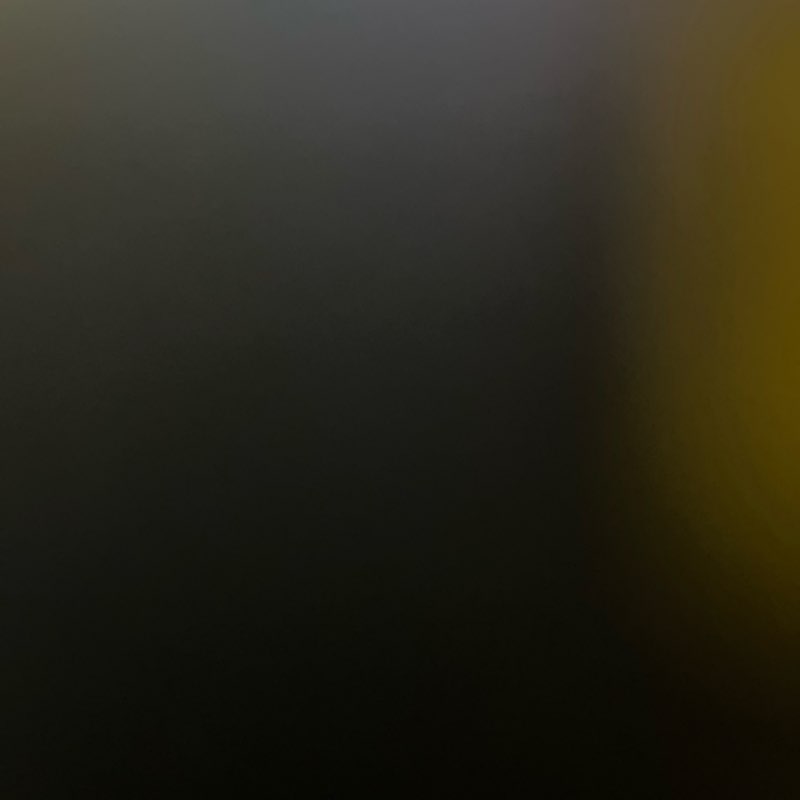 RDP STEP CHALLENGE logo