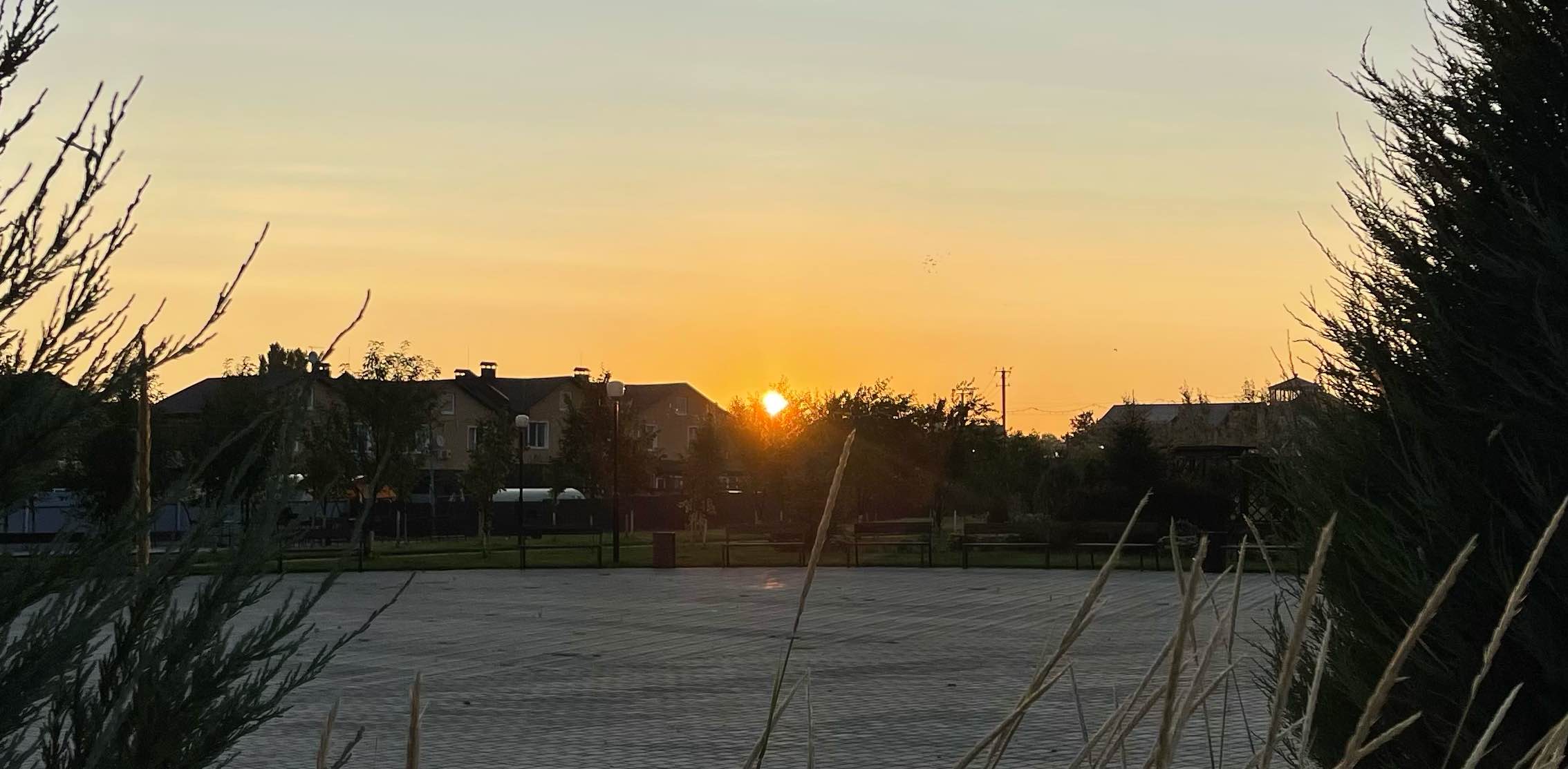 Практика ходьбы banner