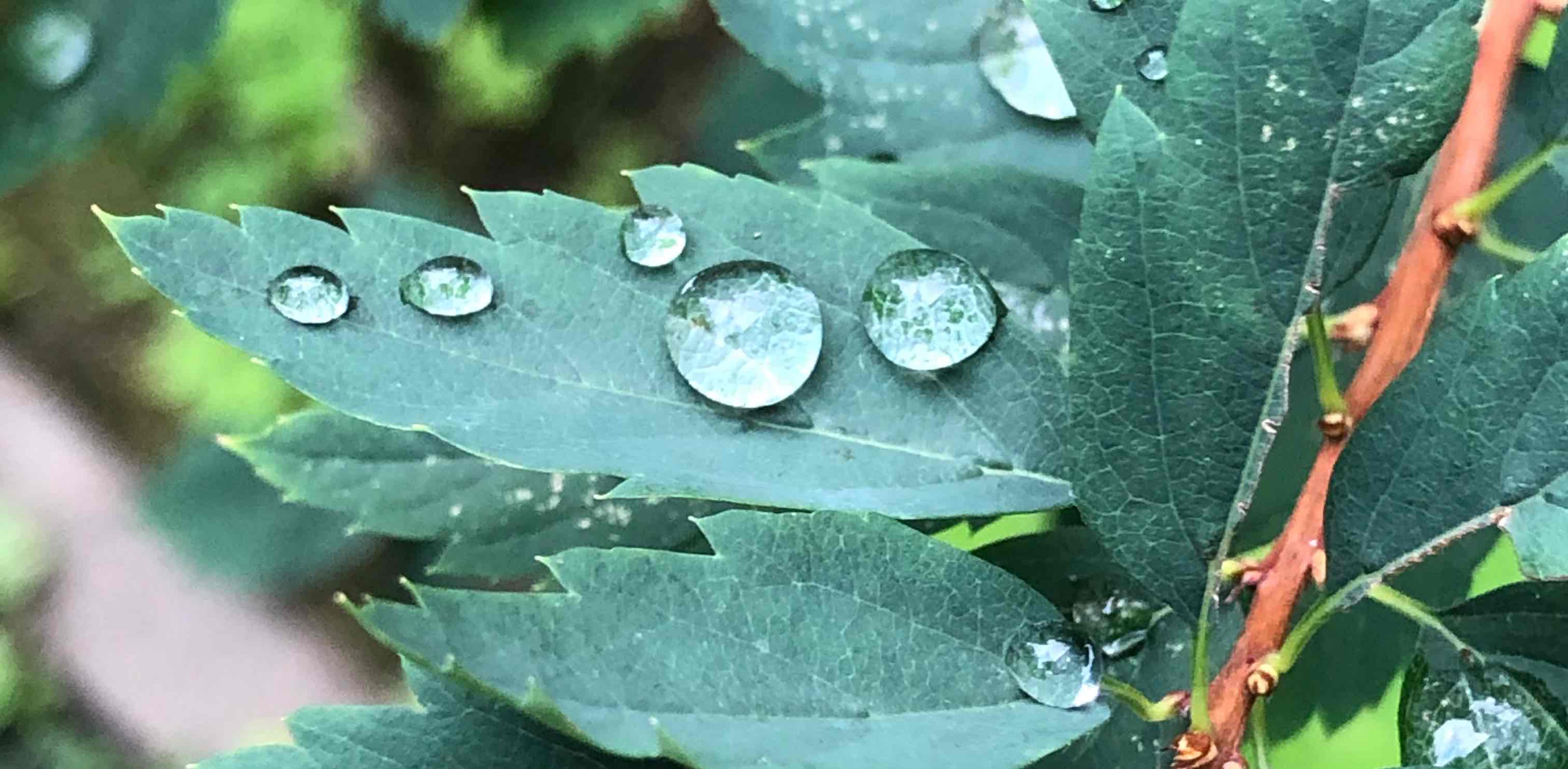 шаг за шагом✅ banner