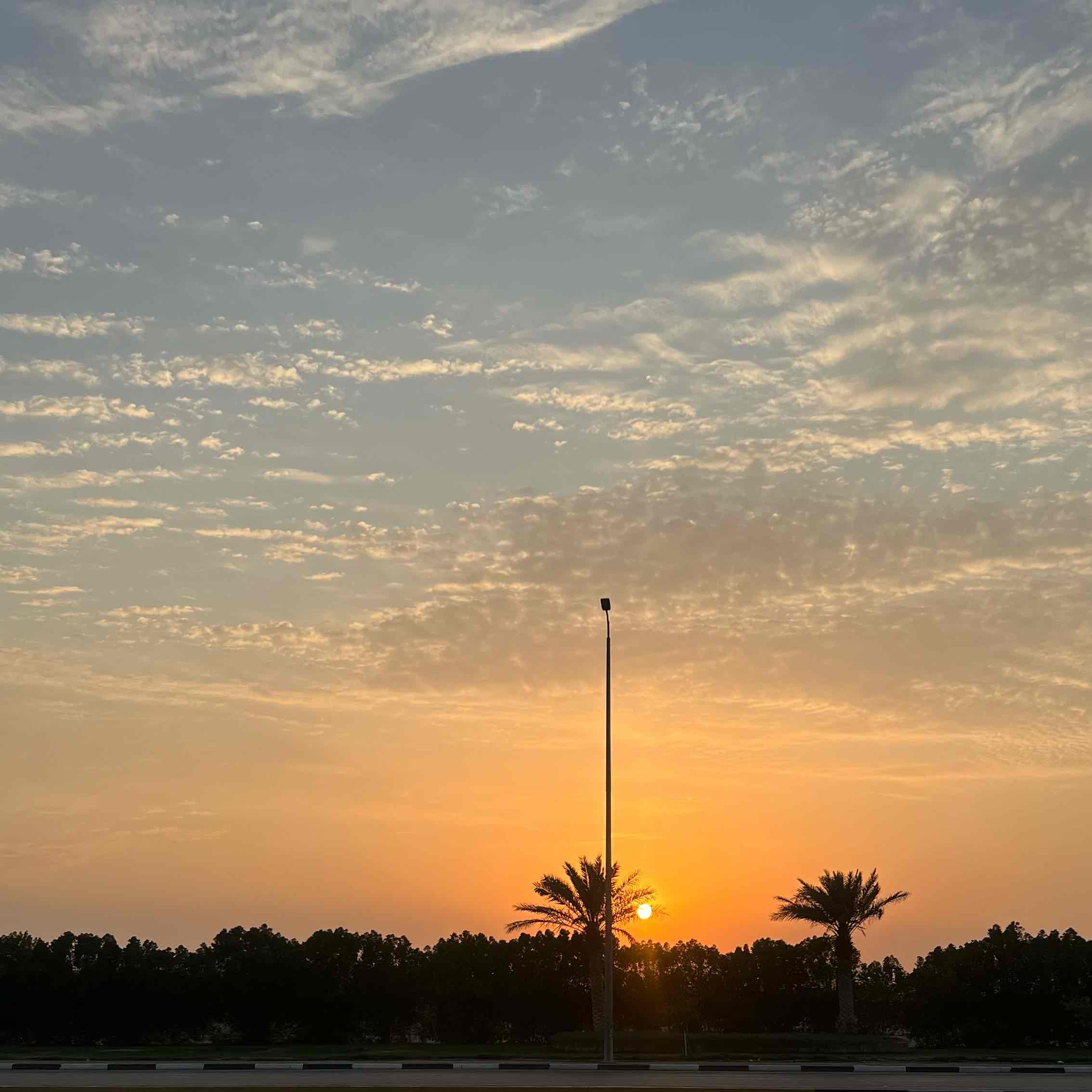 تحدي الخطوات logo