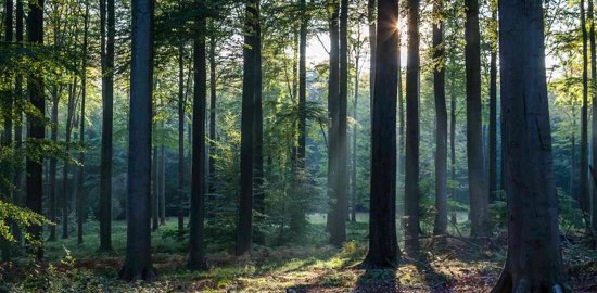 creative energy banner