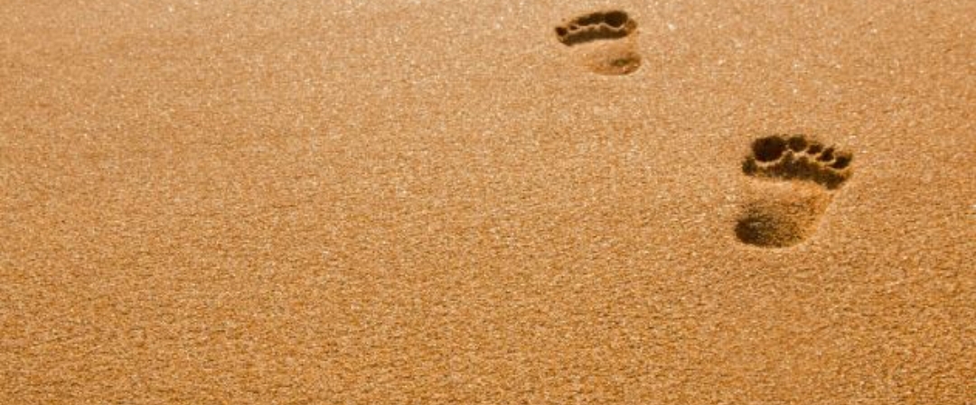 The fitness 💪 banner