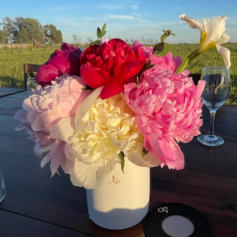 2 week September steps logo