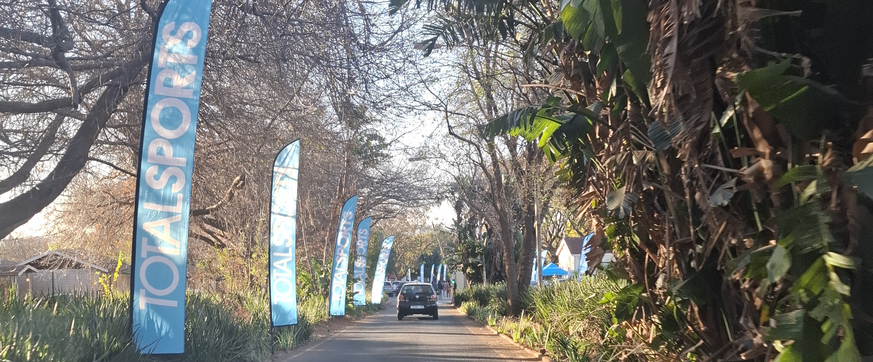 Lesedi Stepper Walkathon banner