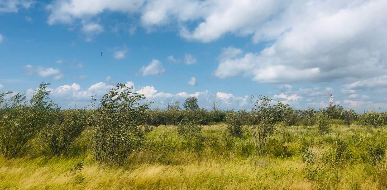 Неслучайные встречи banner