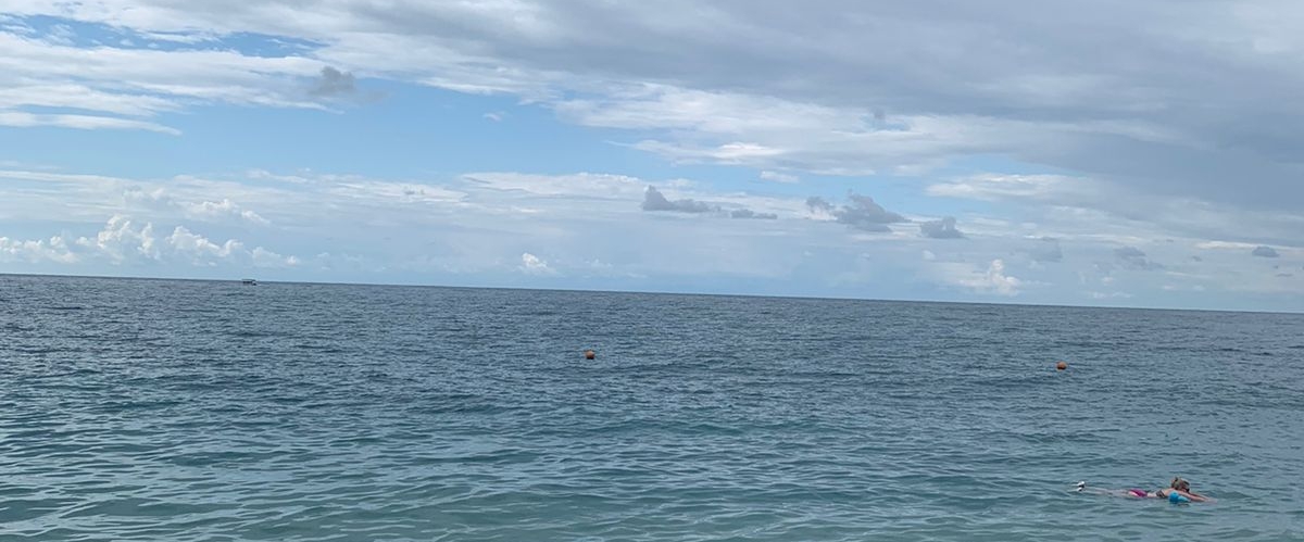 мы ходим banner